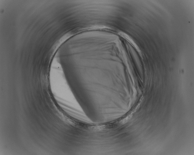 X0000072960810200608181430
