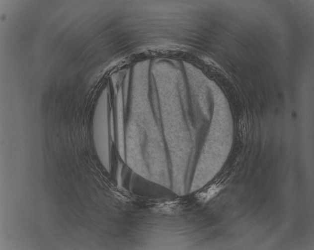 X0000072960822200608181429