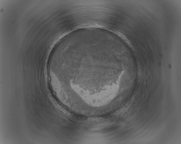 X0000072960840200608181429