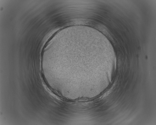 X0000072960844200608181429
