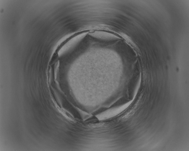 X0000072960846200608181429