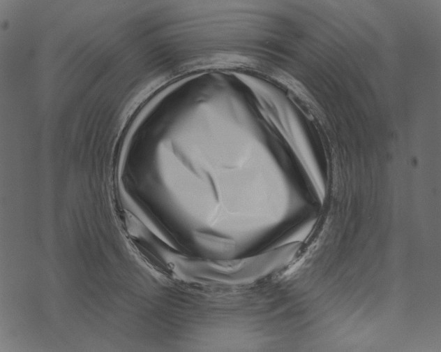 X0000072960850200608181429