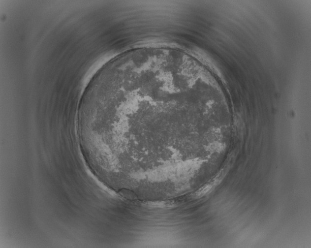 X0000072960855200608181429