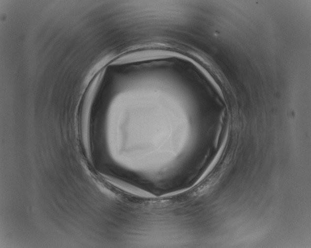 X0000072960858200608181429