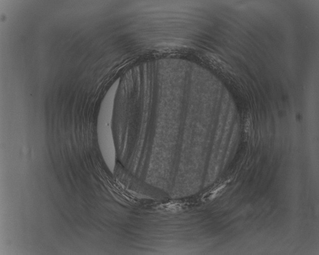 X0000072960868200608181429