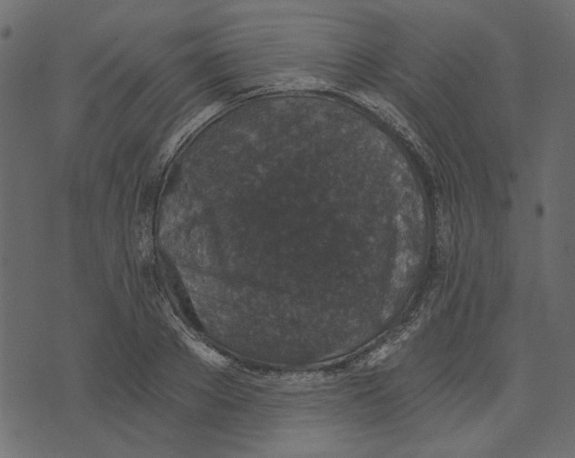 X0000072960889200608181428