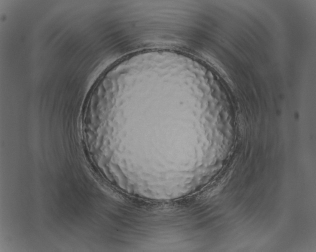 X0000072960891200608181428
