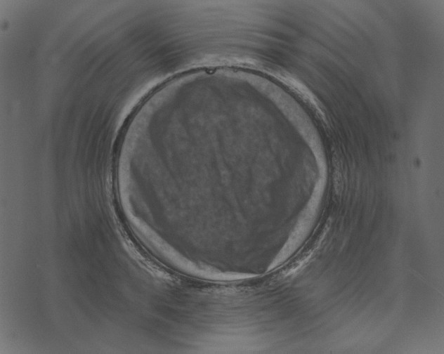 X0000072960896200608181428