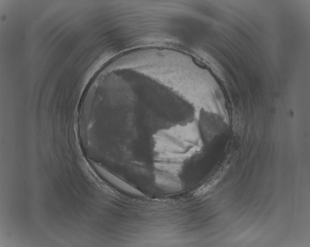 X0000072960899200608181428