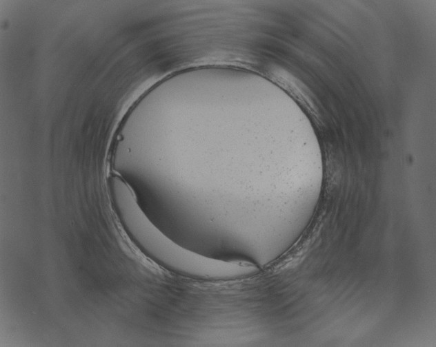 X0000072960900200608181428
