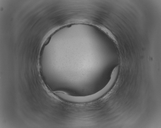 X0000072960904200608181428