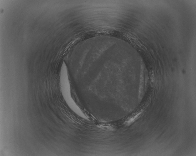 X0000072960916200608181427