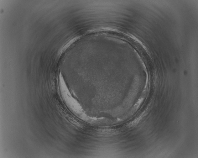 X0000072960921200608181427