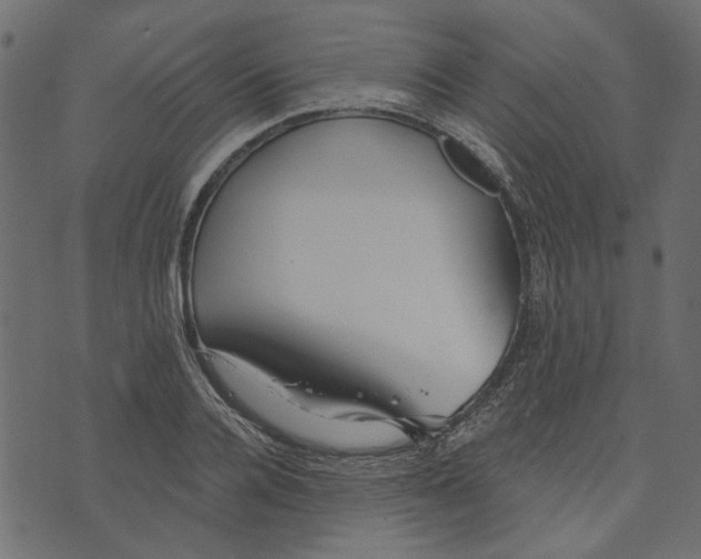 X0000072960936200608181428