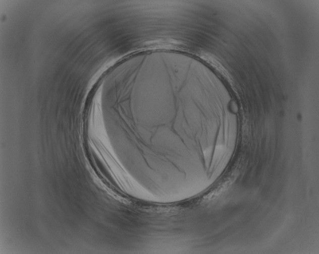 X0000072960941200608181428