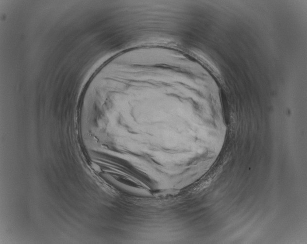 X0000072960948200608181428
