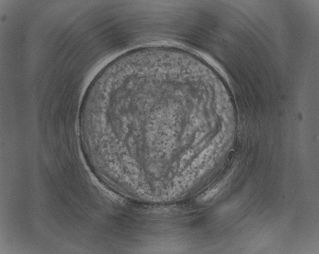 X0000072960951200608181428