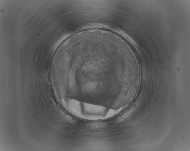 X0000072960953200608181428