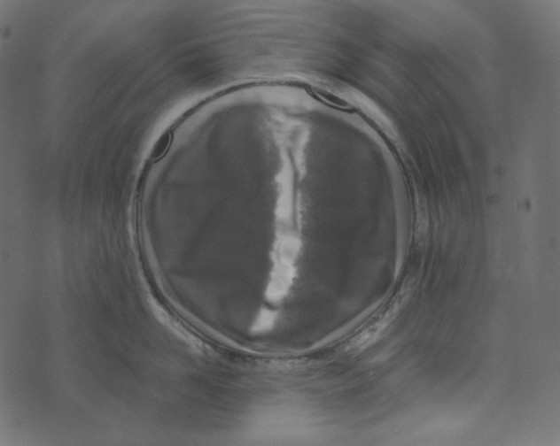 X0000072960958200608181428