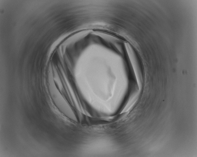 X0000072960960200608181428