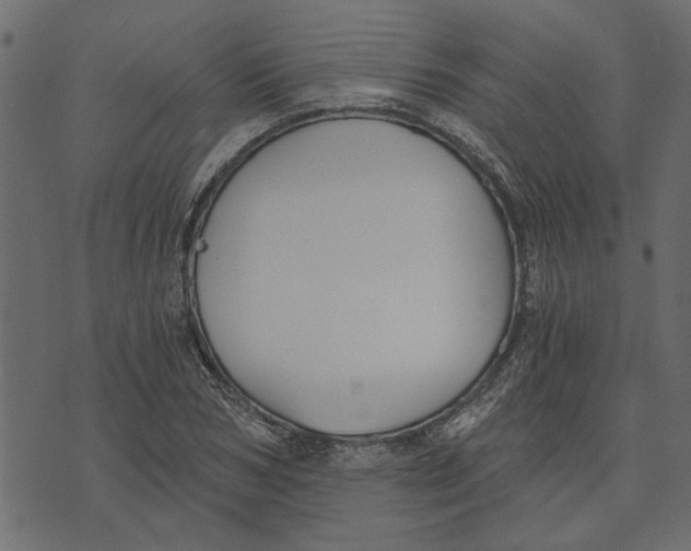 X0000072960978200608181427
