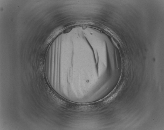 X0000072960985200608181427