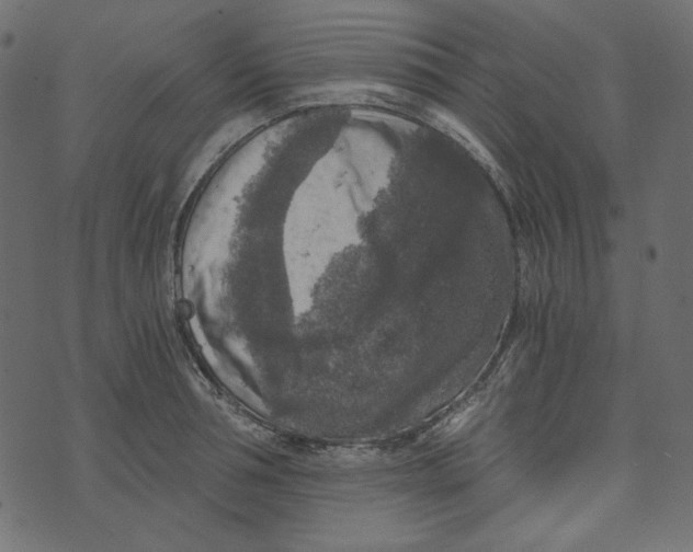 X0000072960994200608181427