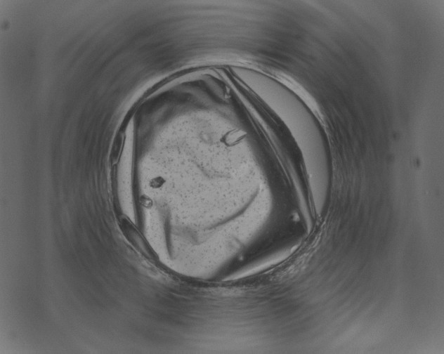 X0000072960996200608181427