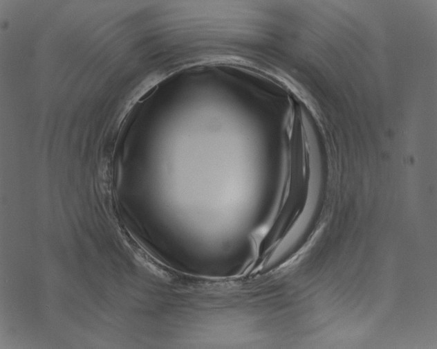 X0000072961001200608181427