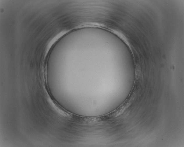 X0000072961003200608181427