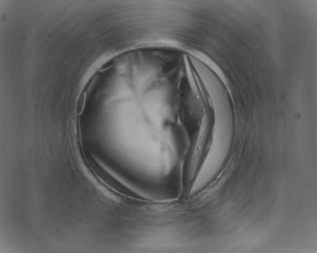 X0000072961005200608181426