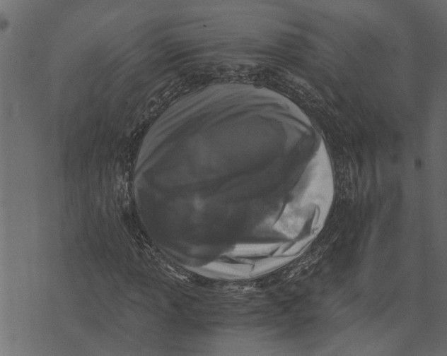 X0000072961013200608181426