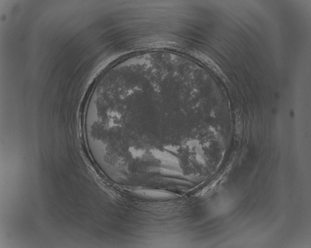 X0000072961031200608181426