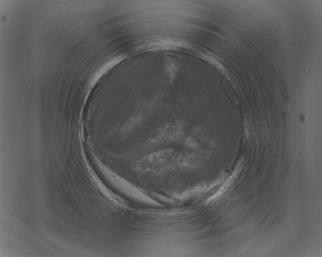 X0000072961034200608181426