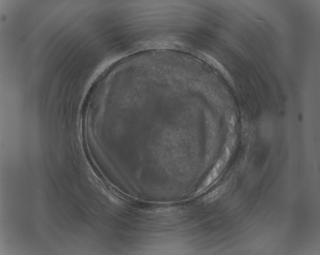 X0000072961035200608181426