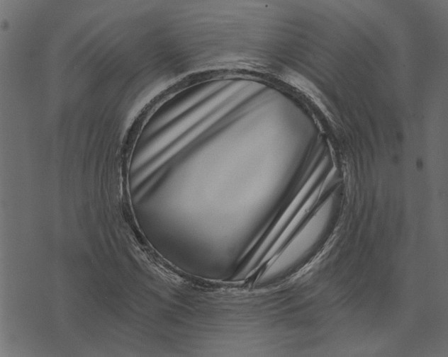 X0000072961069200608181425