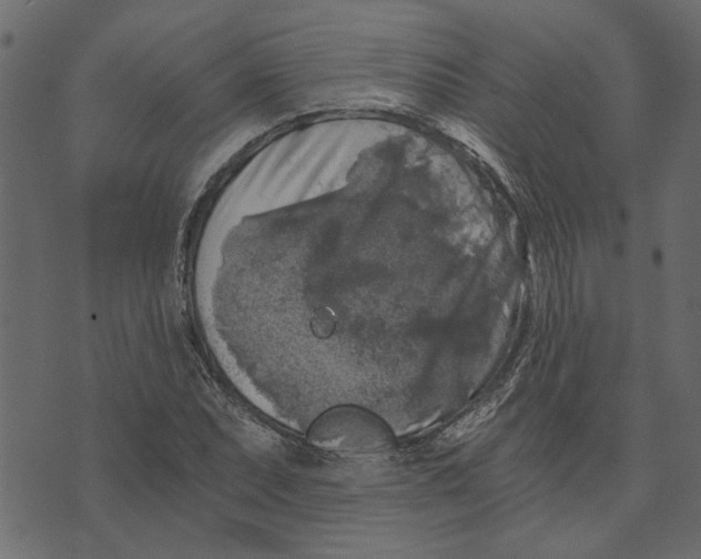X0000072961071200608181425