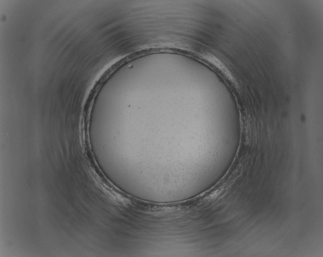 X0000072961076200608181425