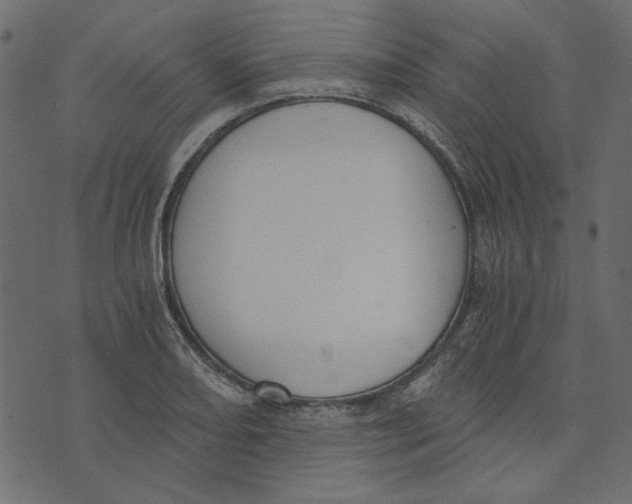 X0000072961082200608181425