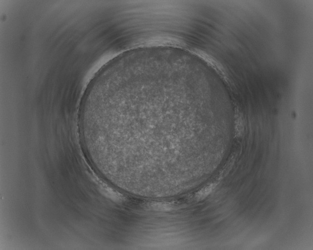 X0000072961086200608181425