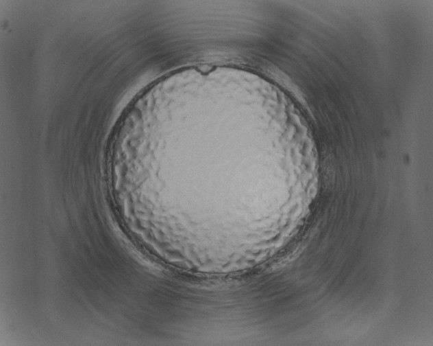 X0000072961091200608181425