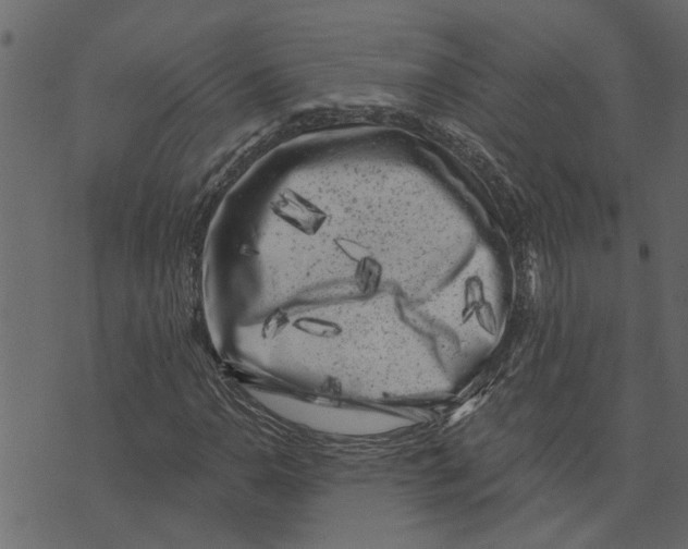 X0000072961110200608181424