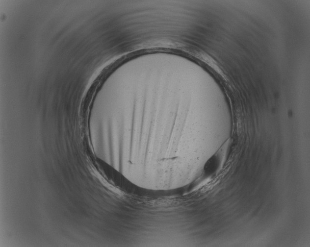 X0000072961116200608181424