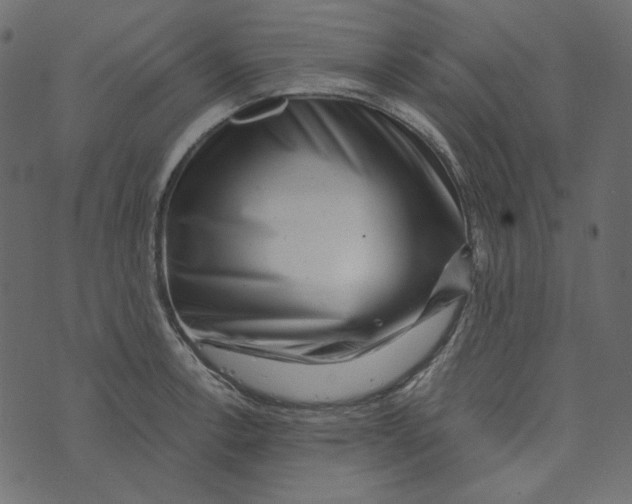 X0000072961138200608181425