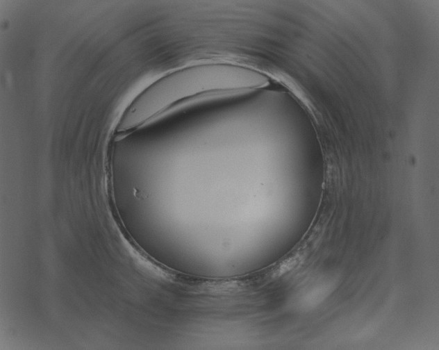 X0000072961143200608181425