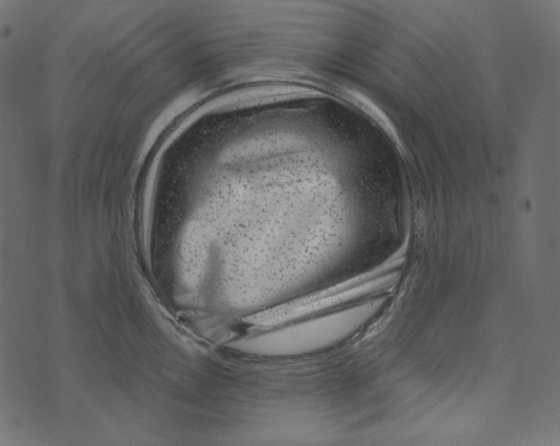 X0000072961146200608181425