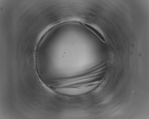 X0000072961151200608181425