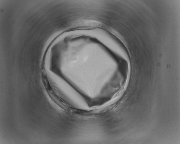 X0000072961152200608181425