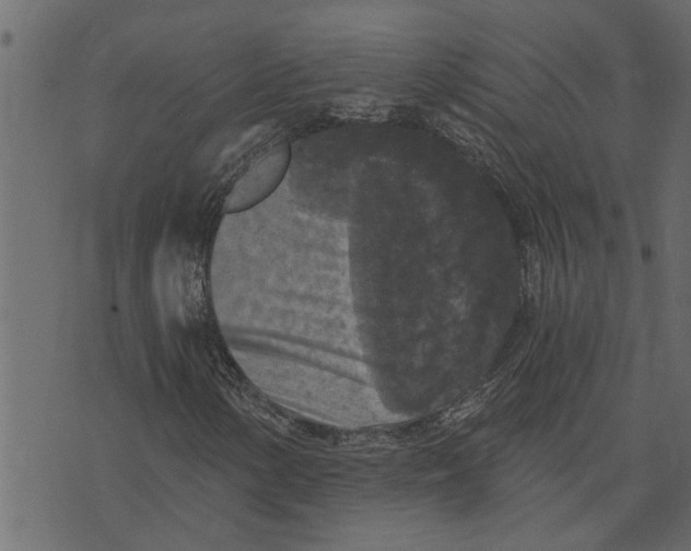 X0000072961154200608181424