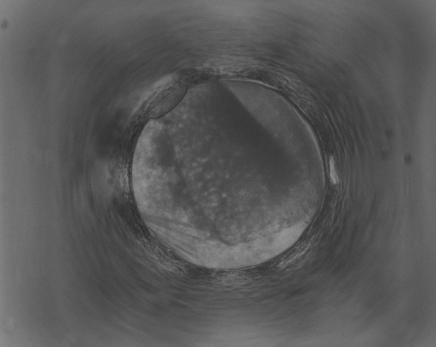 X0000072961155200608181424
